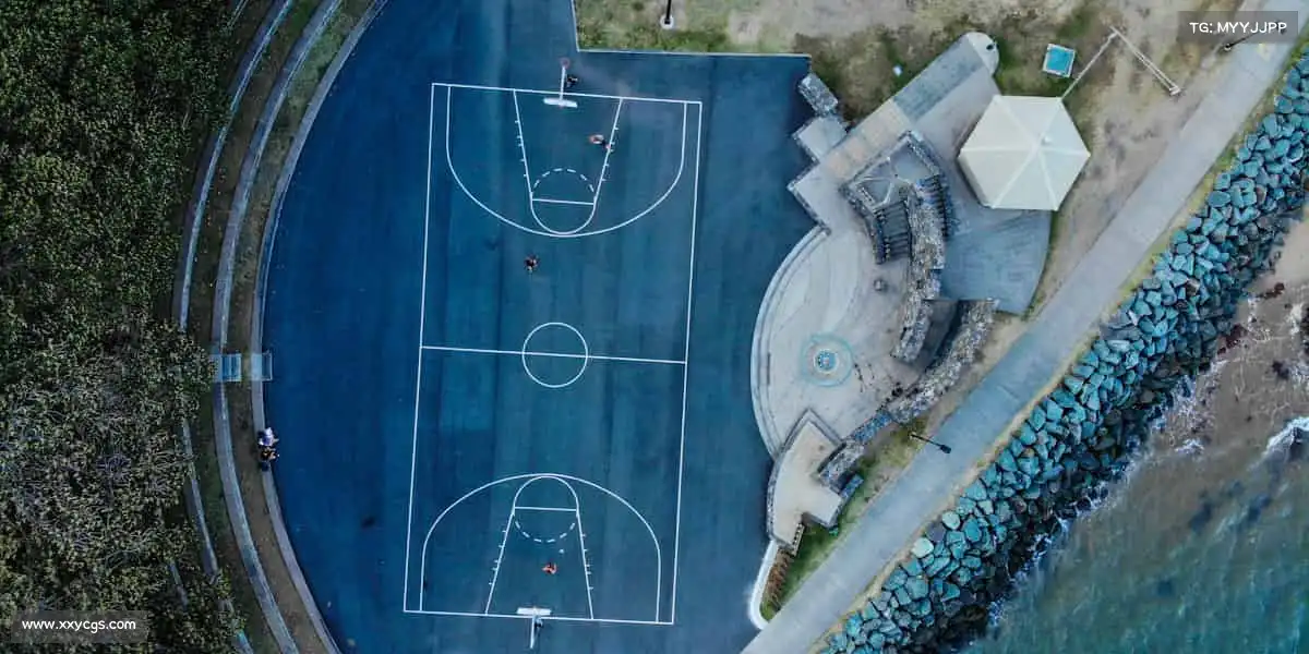 行业领先的理由